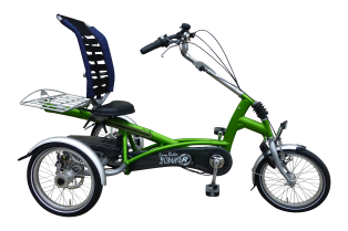 trike for disabled adults